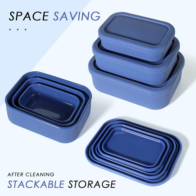 Leak-Resistant Bento Lunch Box - Meal Prep Ideas ulasan dan harga