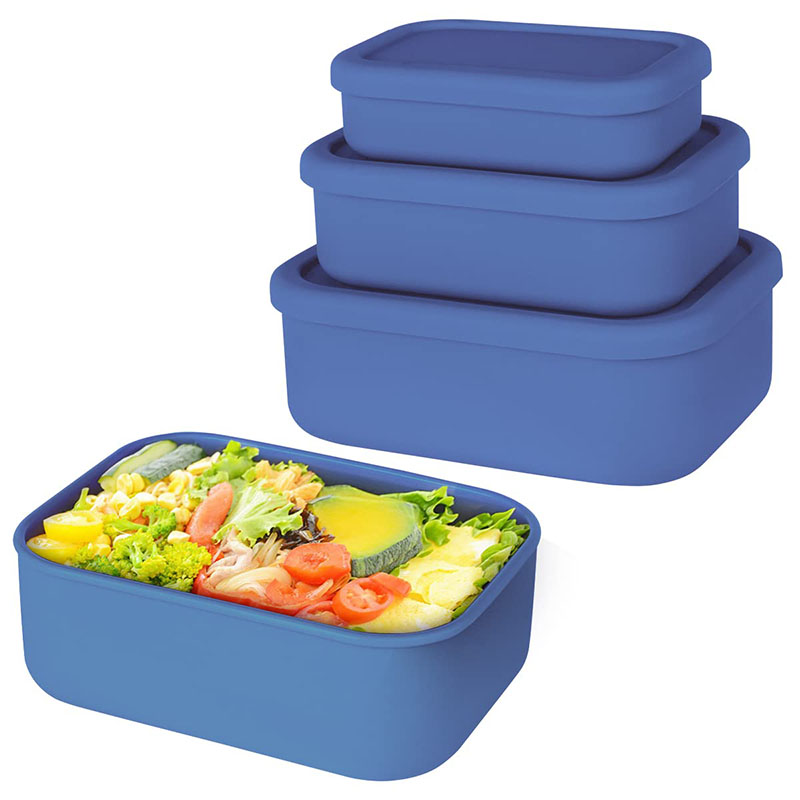 Leak-Resistant Bento Lunch Box - Meal Prep Ideas ulasan dan harga