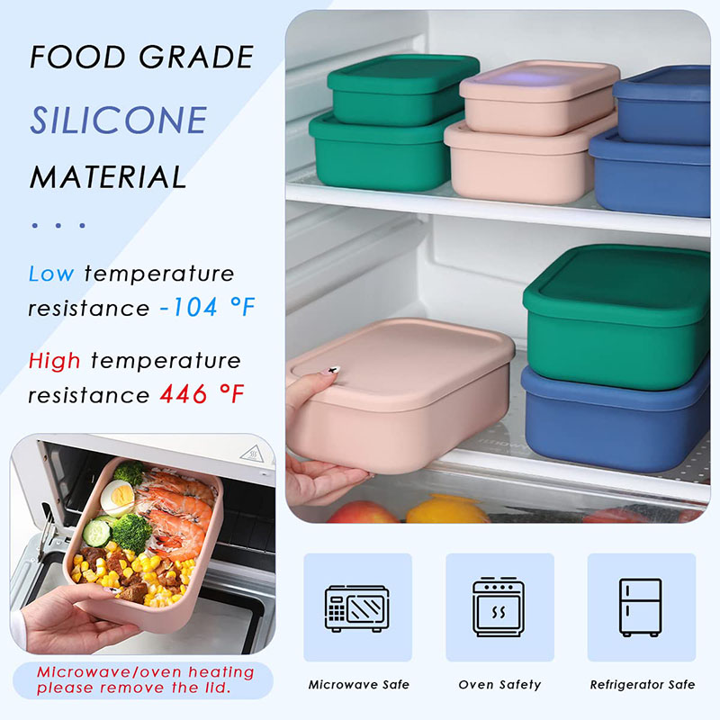 Leak-Resistant Bento Lunch Box - Meal Prep Ideas ulasan dan harga